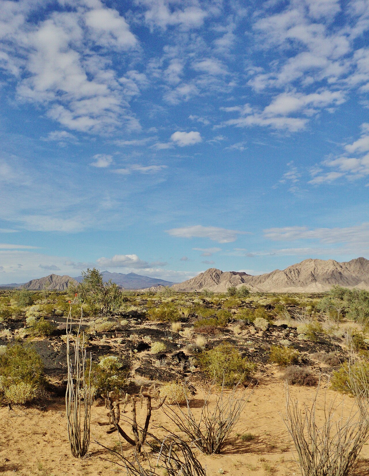 El Pinacate y Gran Desierto de Altar Biosphere Reserve