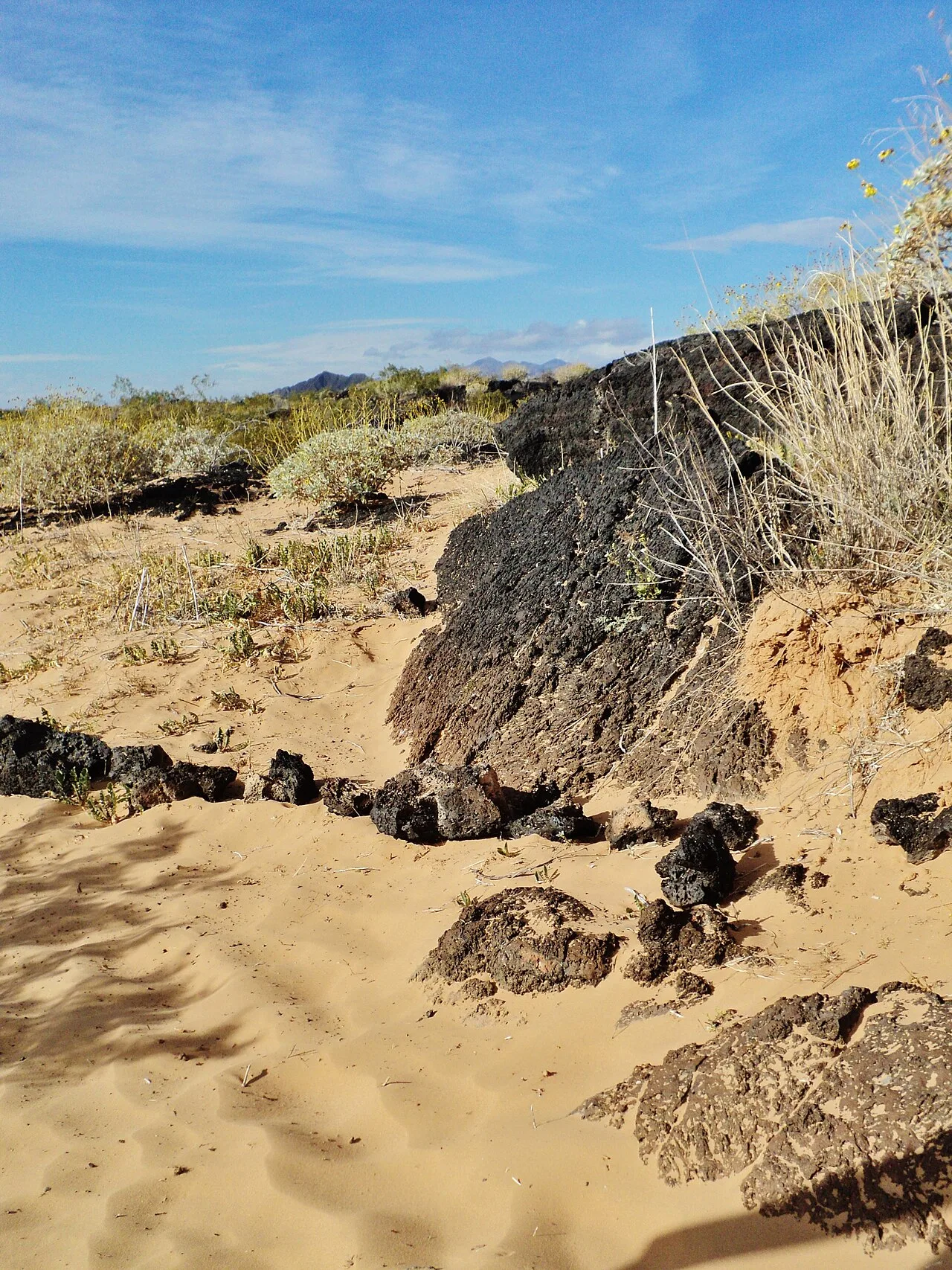 El Pinacate y Gran Desierto de Altar Biosphere Reserve