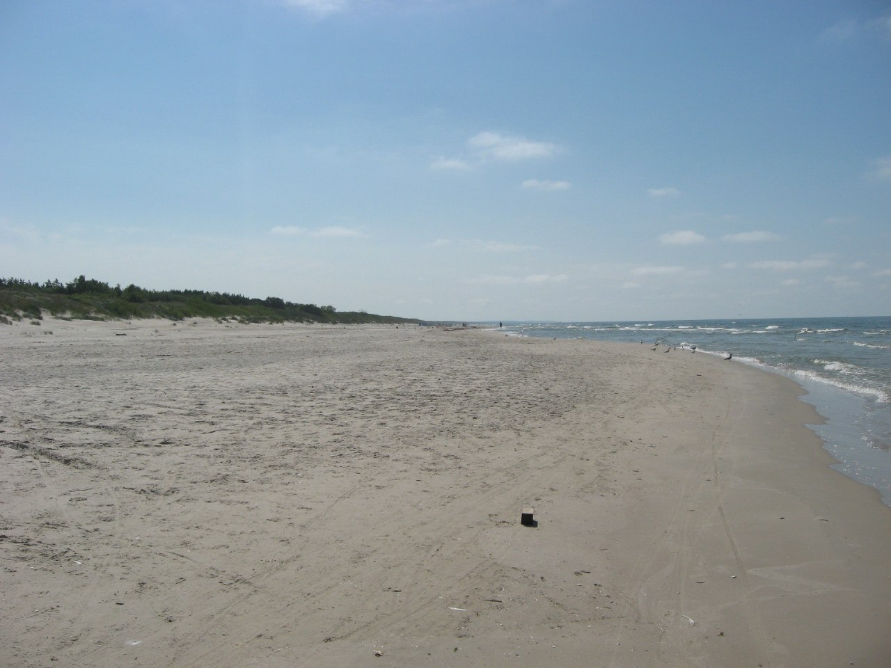 Curonian Spit