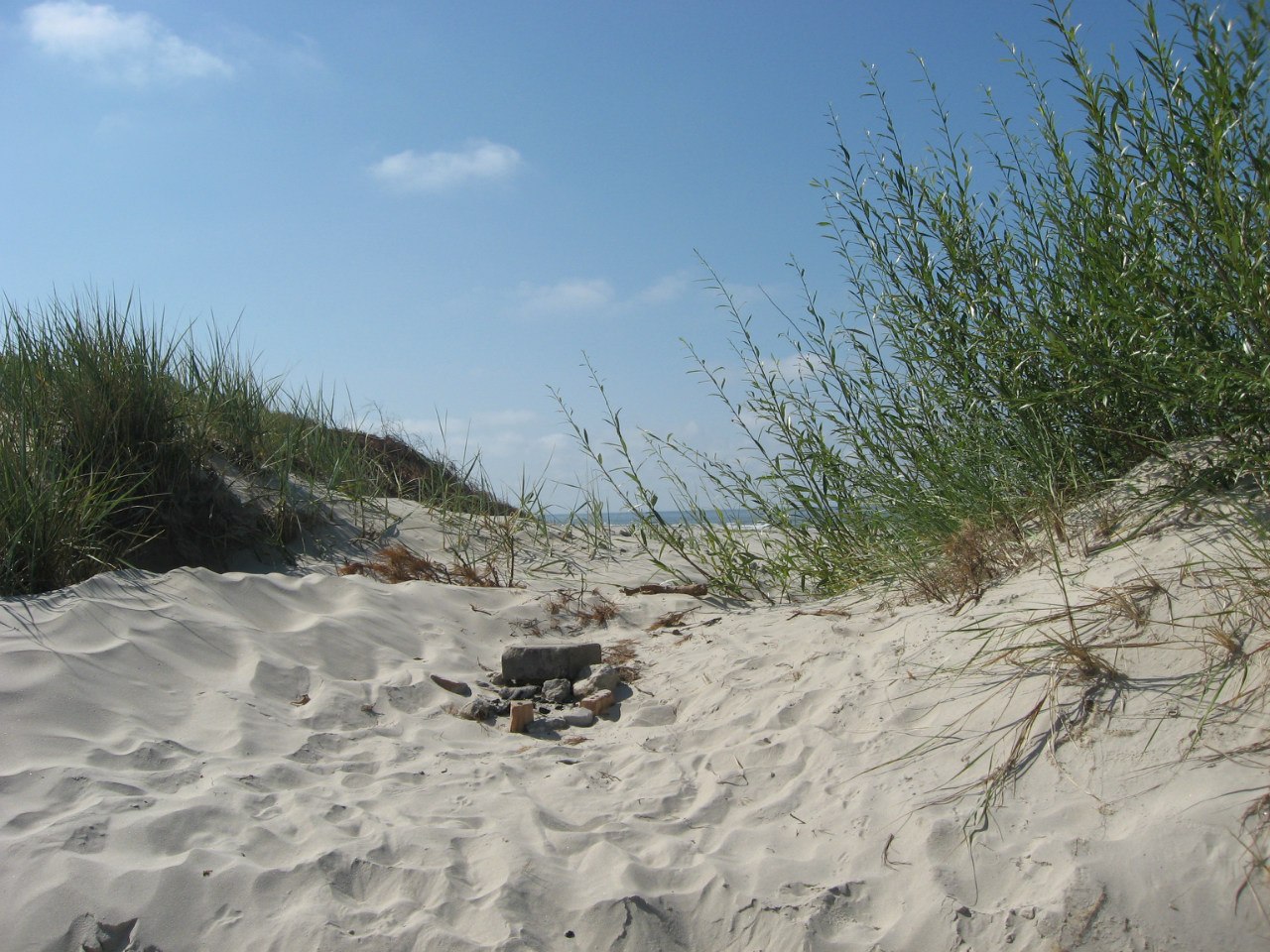 Curonian Spit