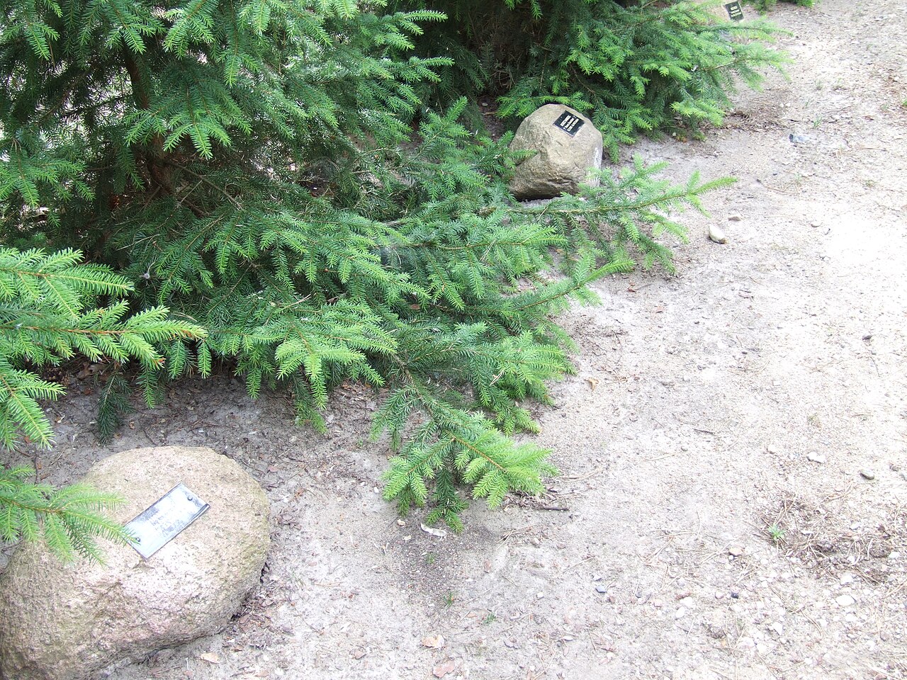 Extermination Camp of Sobibor, Poland