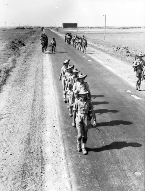 Syria–Lebanon campaign