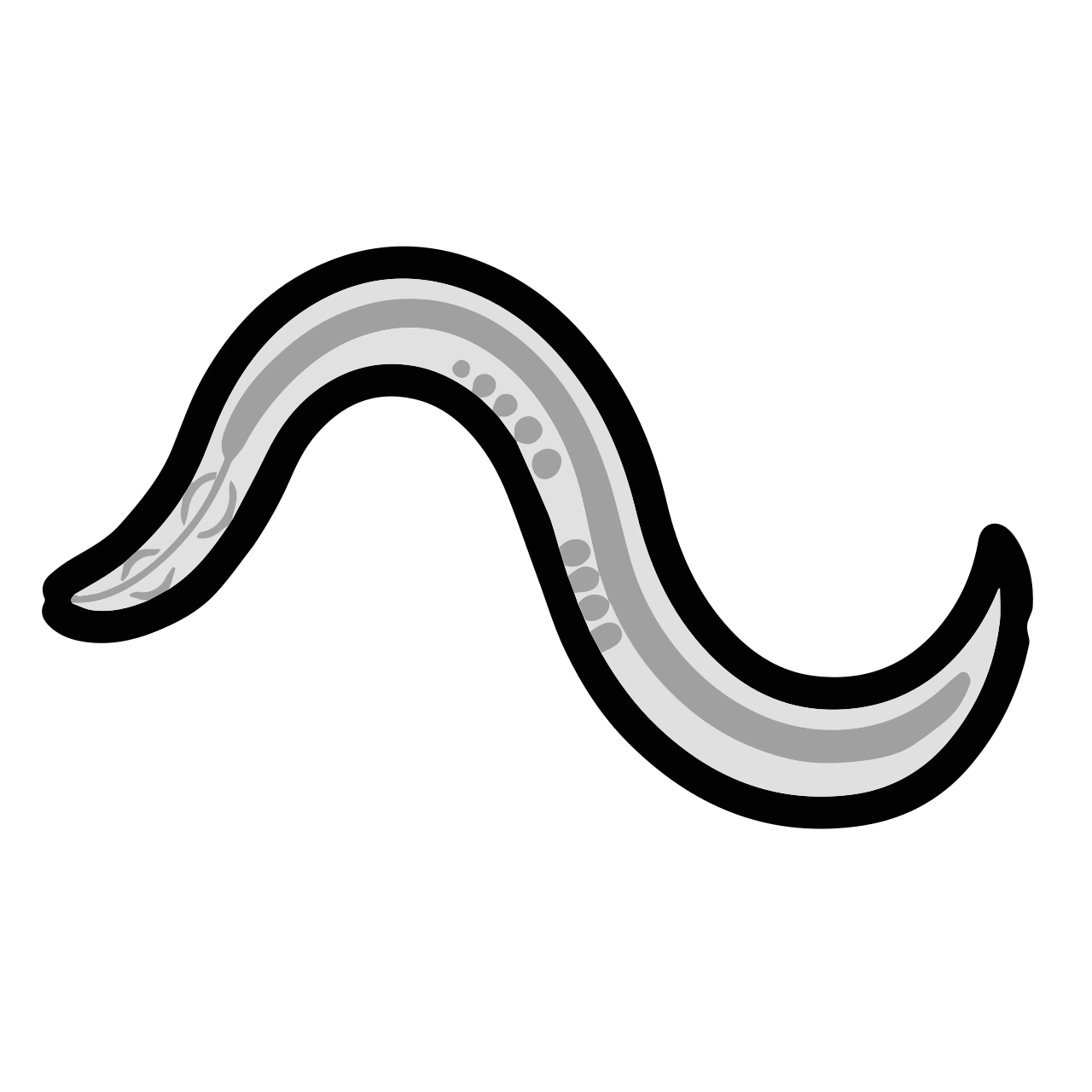 Nematode