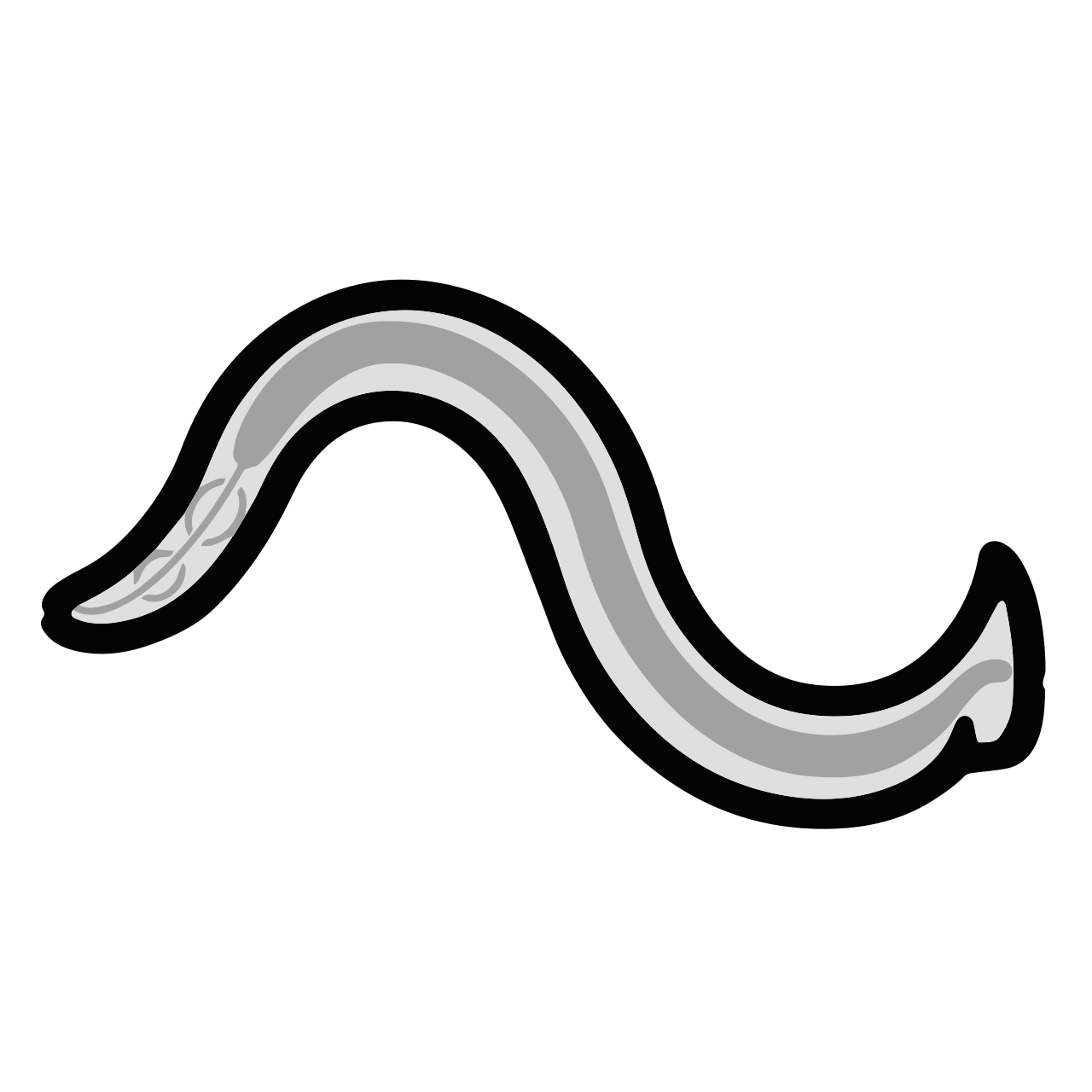 Nematode