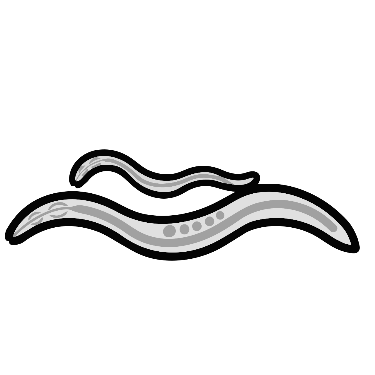 Nematode