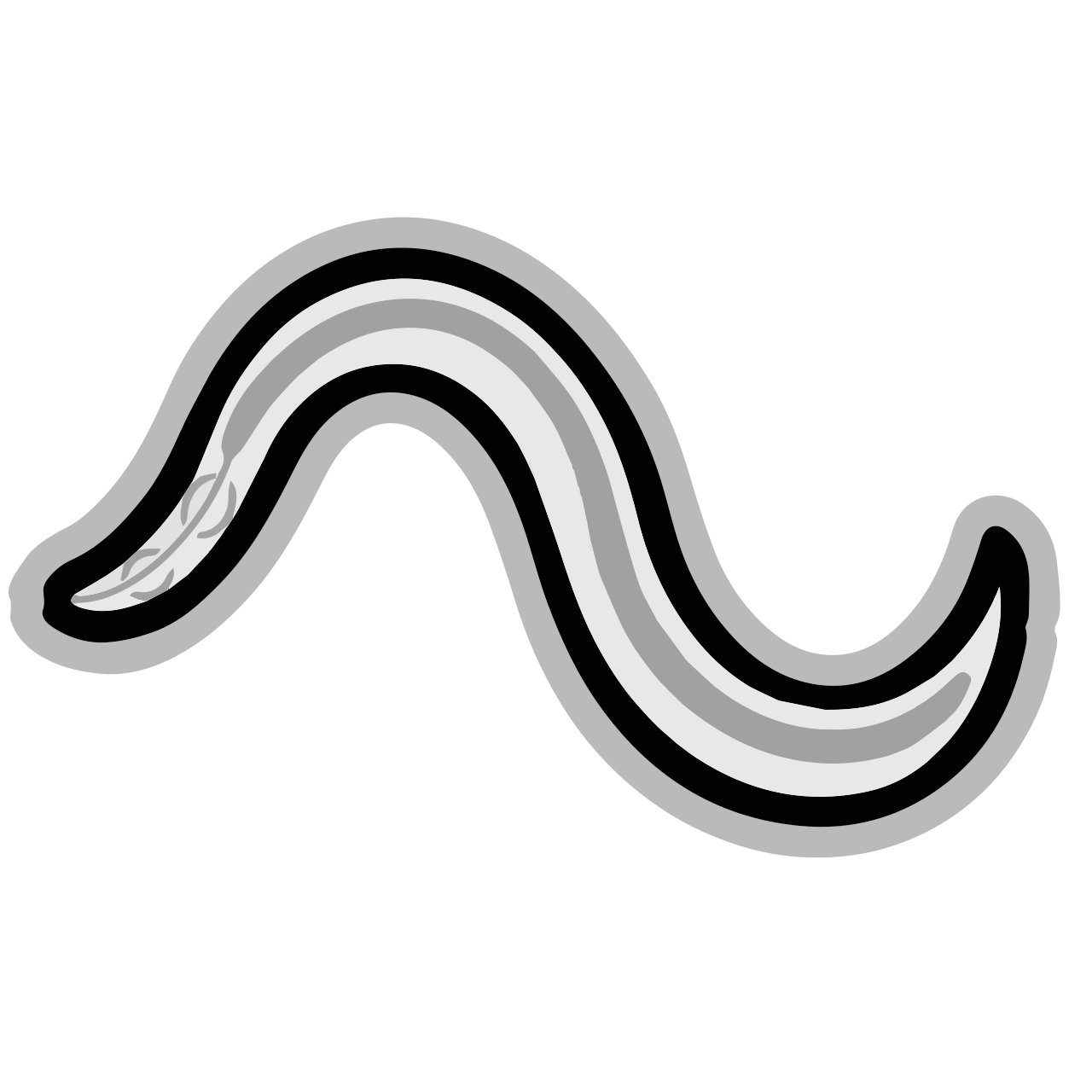 Nematode