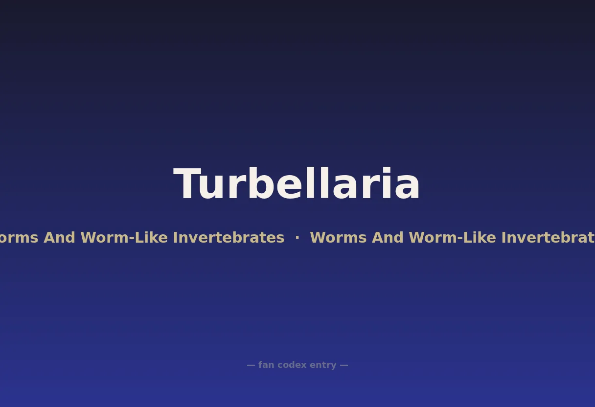 Turbellaria