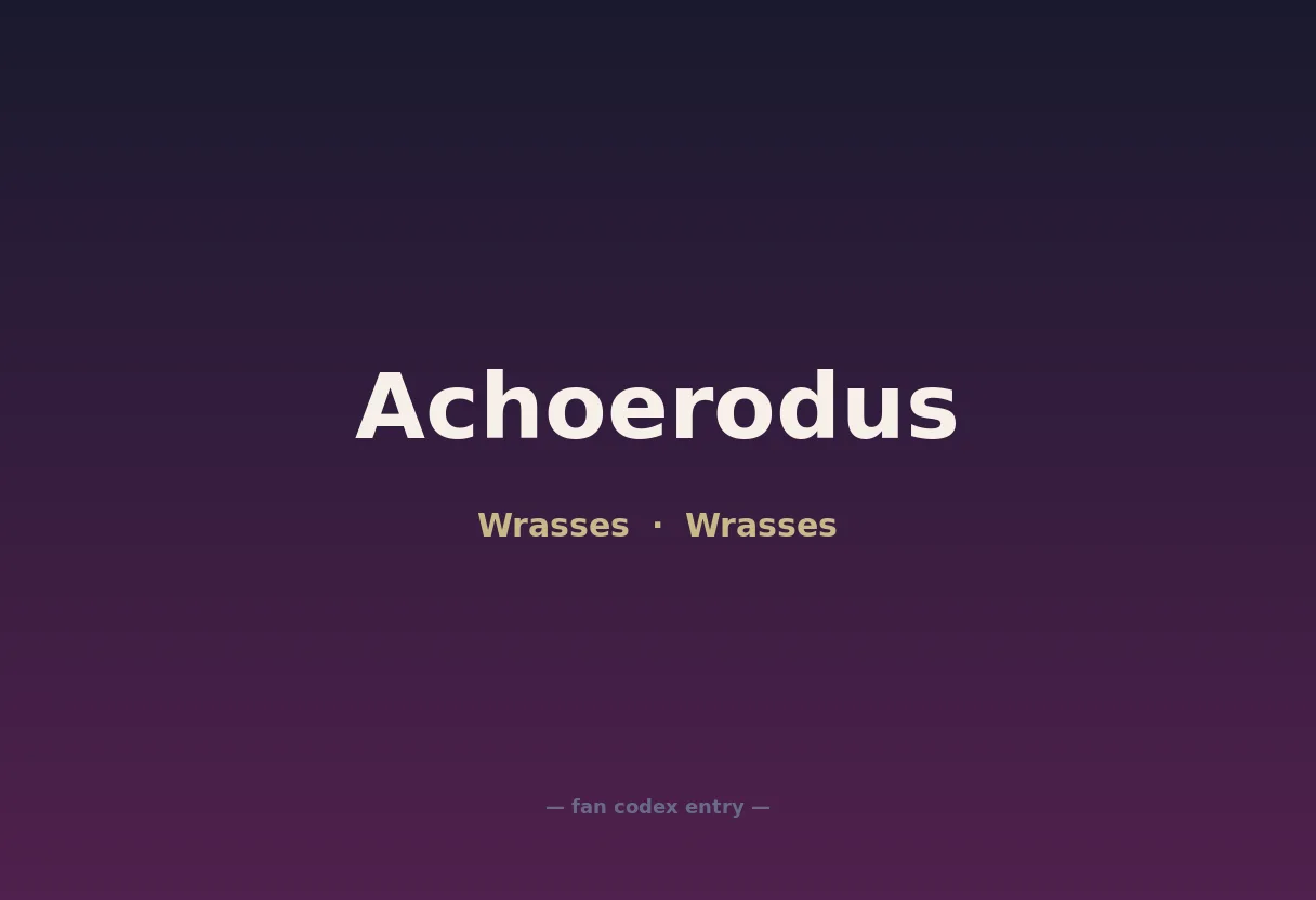 Achoerodus