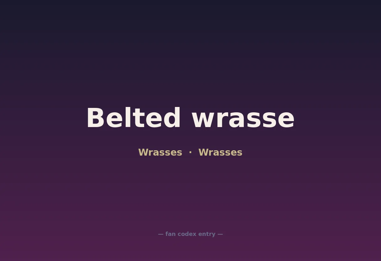 Belted wrasse