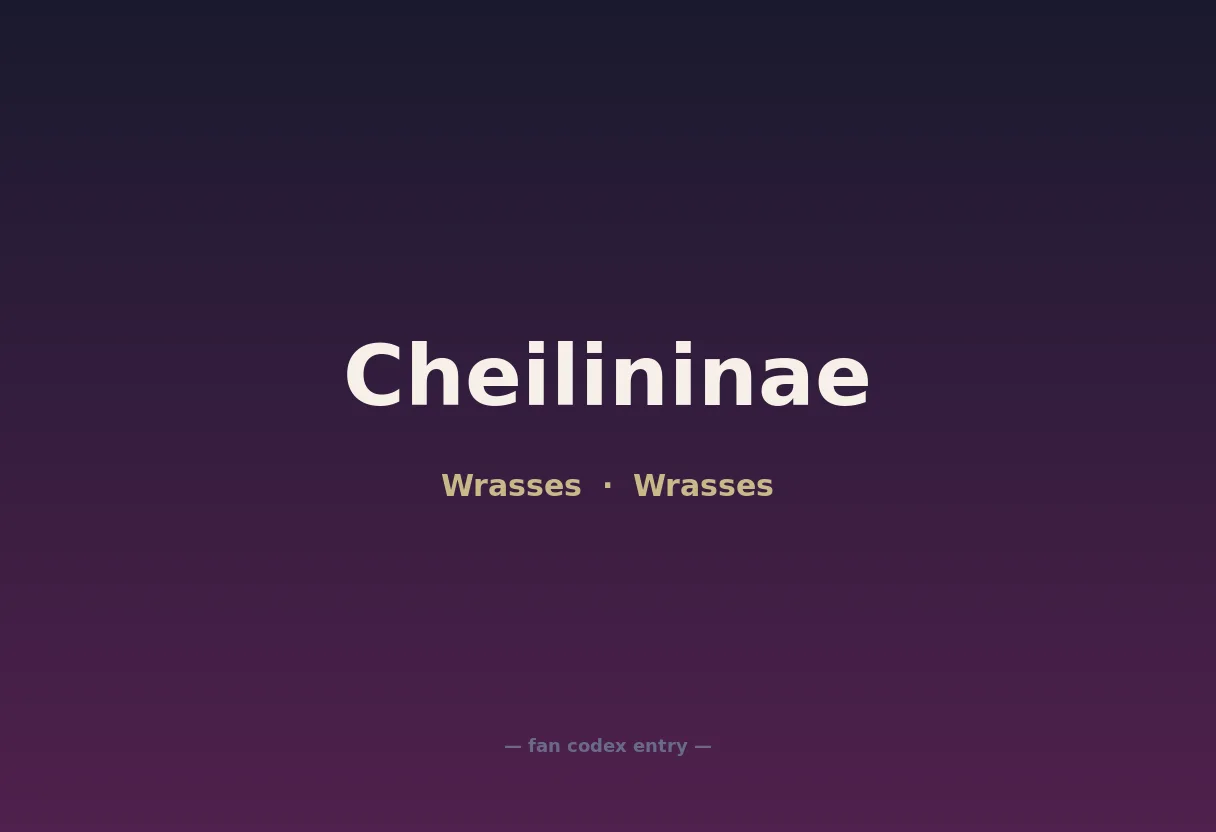 Cheilininae