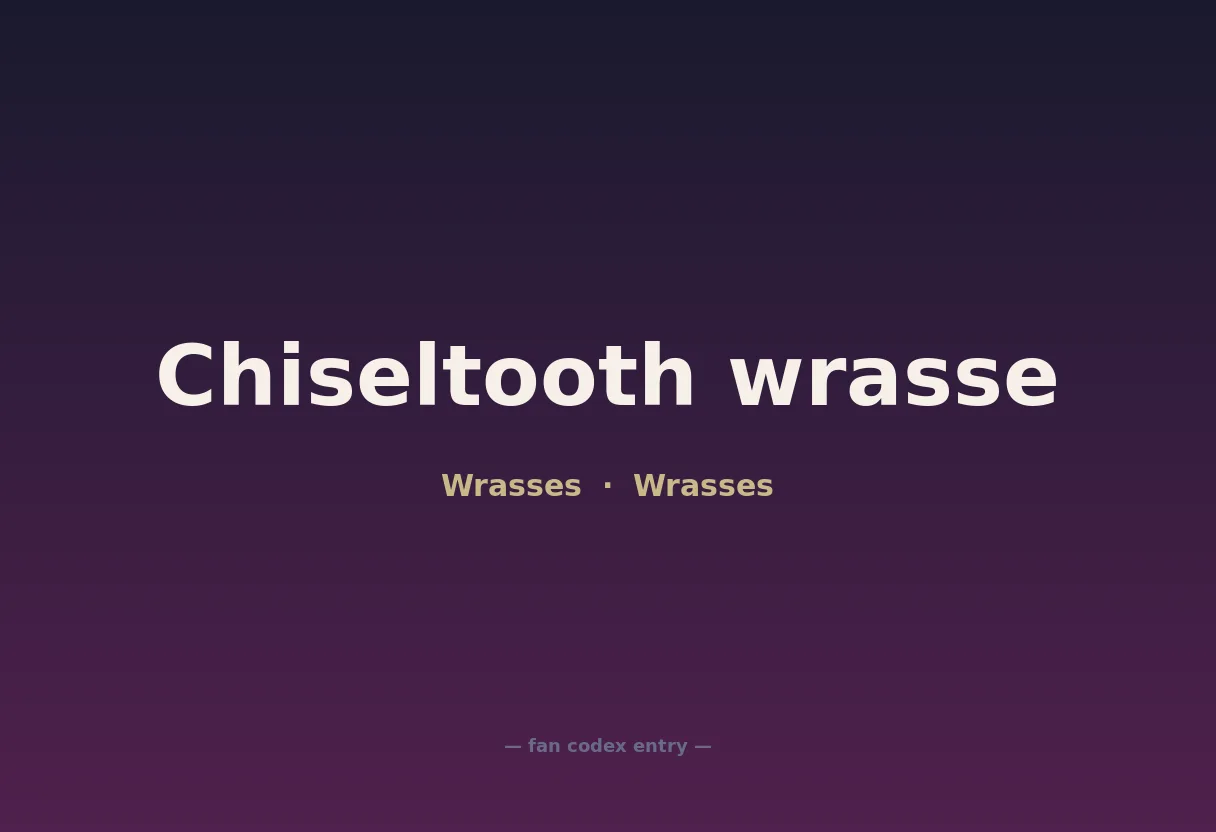 Chiseltooth wrasse