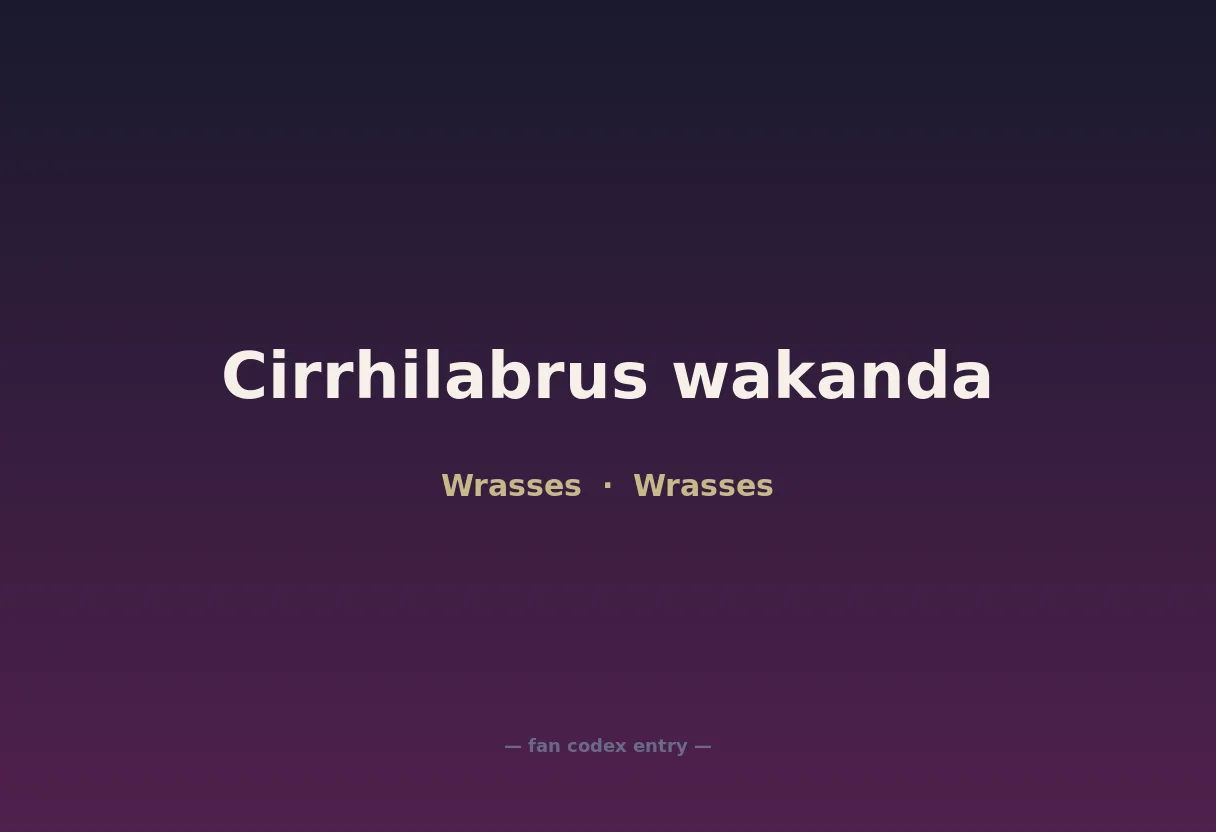 Cirrhilabrus wakanda
