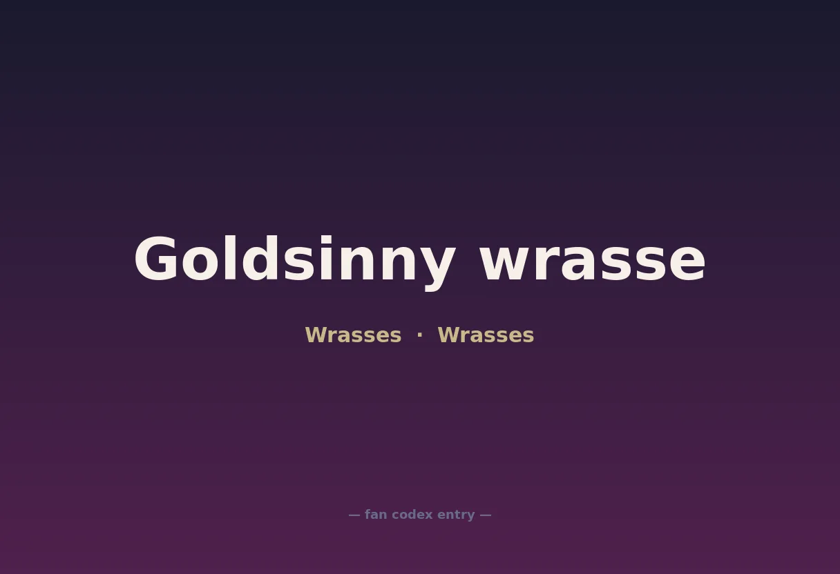 Goldsinny wrasse