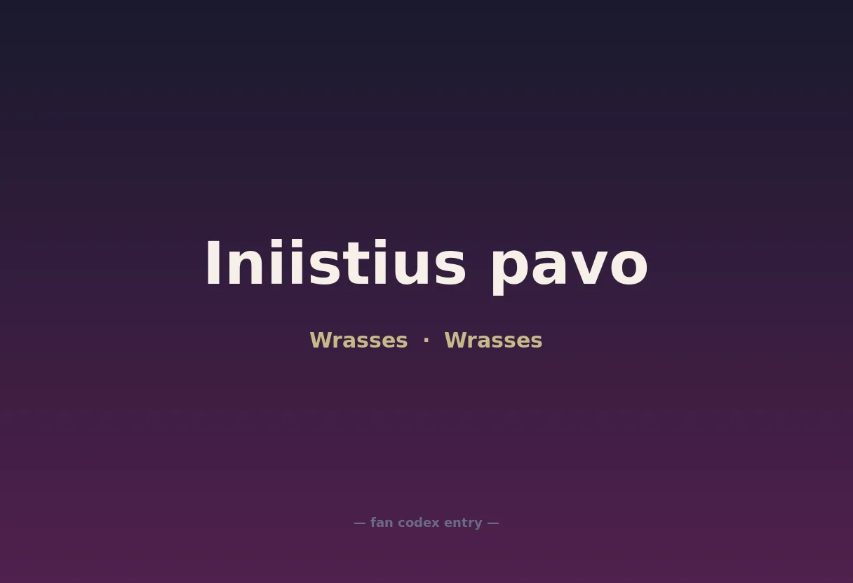 Iniistius pavo