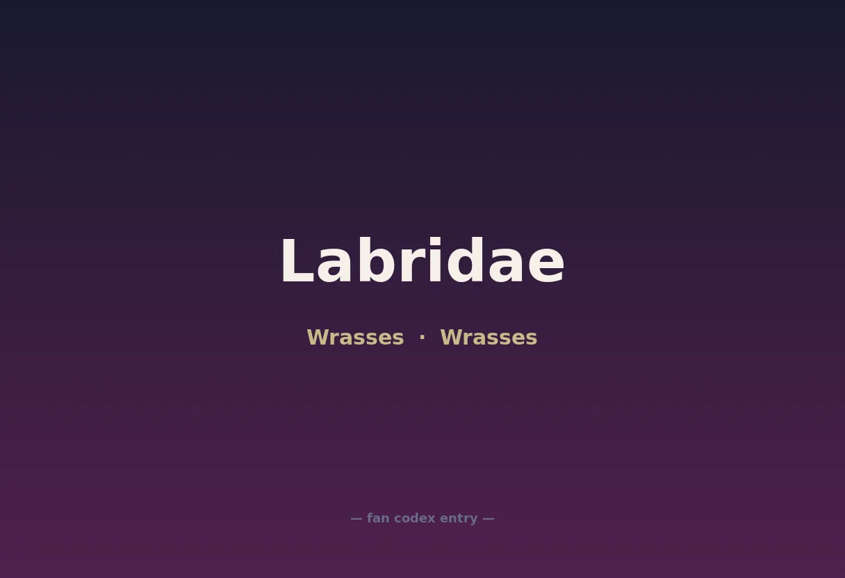Labridae