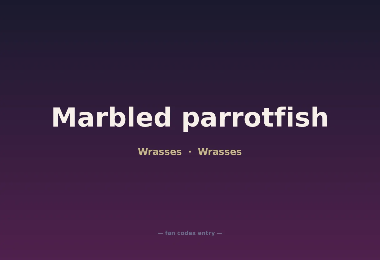 Marbled parrotfish