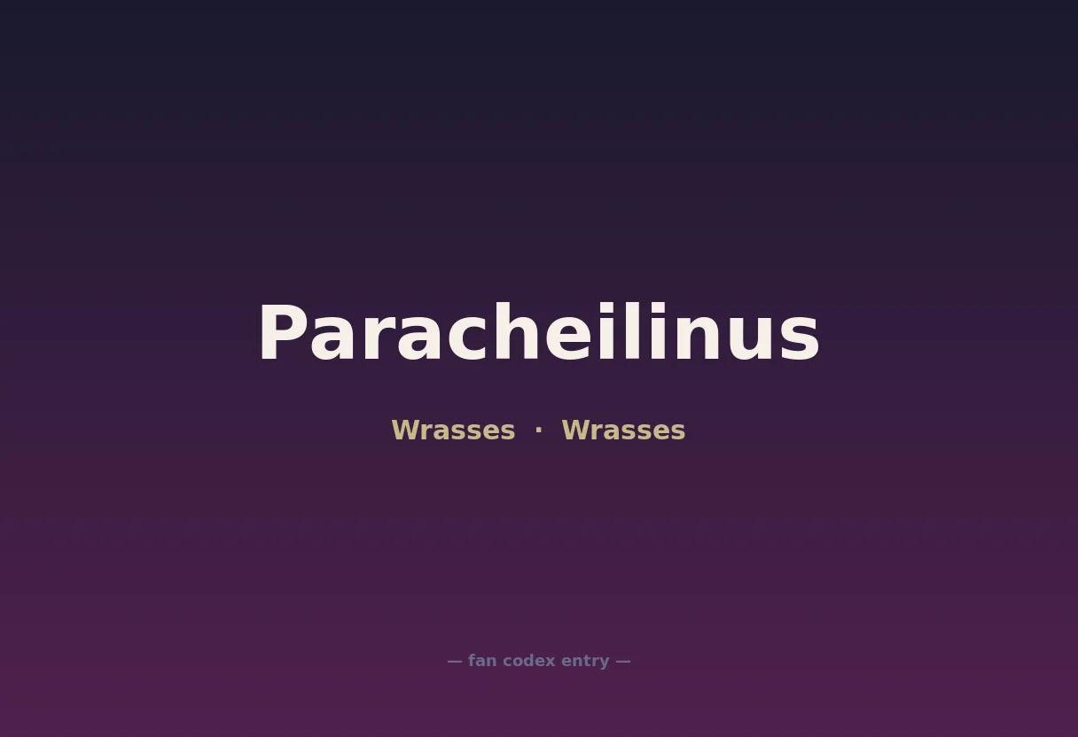 Paracheilinus