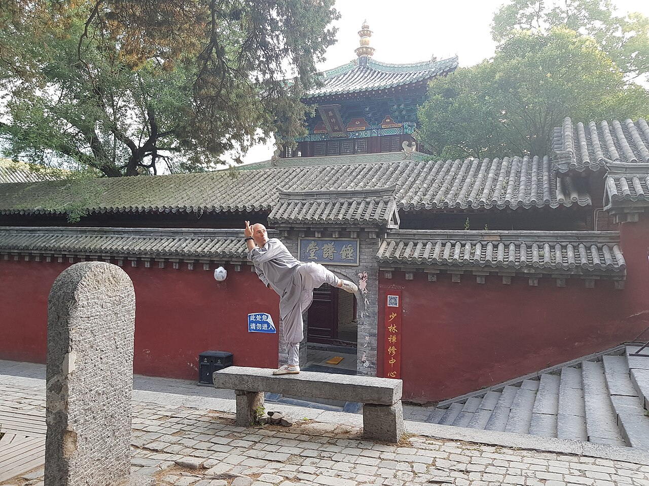 9 Monkeys of Shaolin