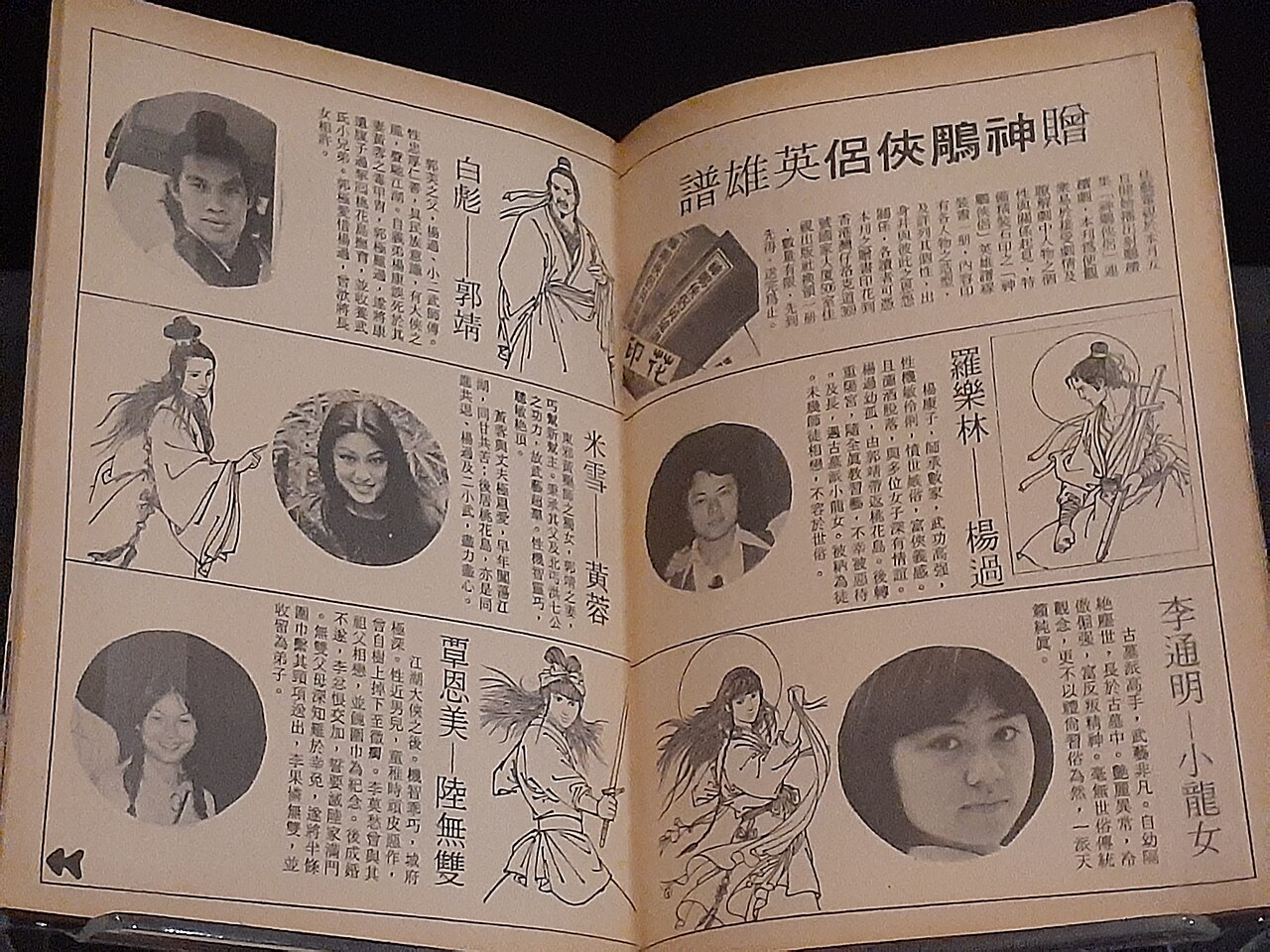 Heroes of Jin Yong