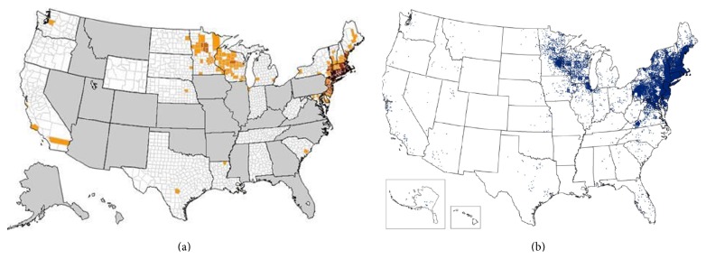 Babesiosis